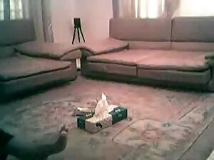 Indian mallu 2011 pakistani telugu Me and My Girl friend From VHs