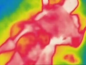 British gujarati girl calls for expert sex advice