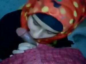 Desi bf ne Lund ko acche tharike se chusvaya