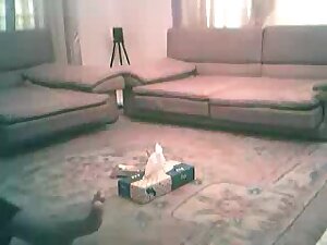 Bangladeshi prostitute scandal uttara dhaka 04