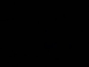 South Indian Mallu XXX Movie