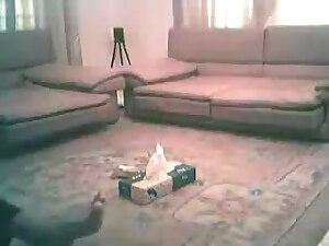 Bangladeshi prostitute scandal uttara dhaka 04