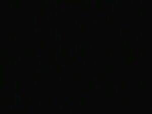 Kate and the Indians )1979)