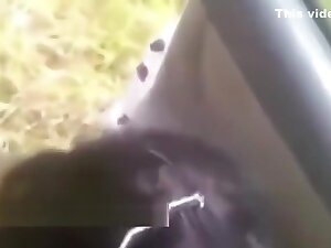 Indian milf sucking her husband in front of the car on the freeway