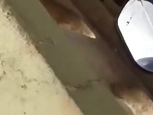 Hidden web camera voyeur desi couples caught