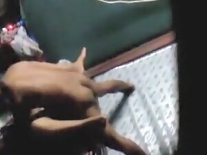 Desi Randi Homemade Fucking