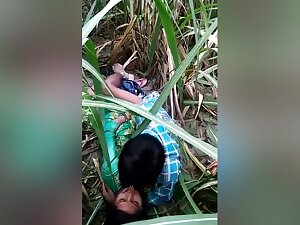 Today Exclusive- Gaana Ke Khet Main Romance And Chudai