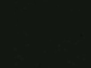 Exotic Amateur clip with Ass, Couple scenes