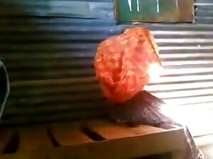 cute indian girl stripping