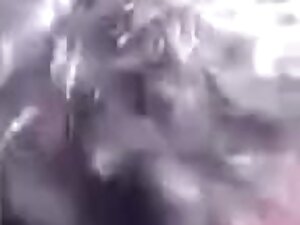 Salesh - Two tingers in ass