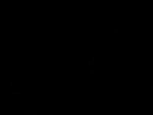 Hindi in America and