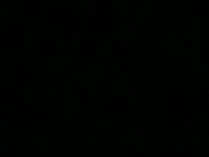 PeggySue-ParuSillos (French)