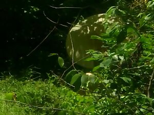 Sex Bomb Isabella Returned With Her Wonderful Cock