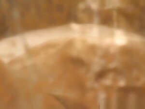 Sensual Journeys Through India